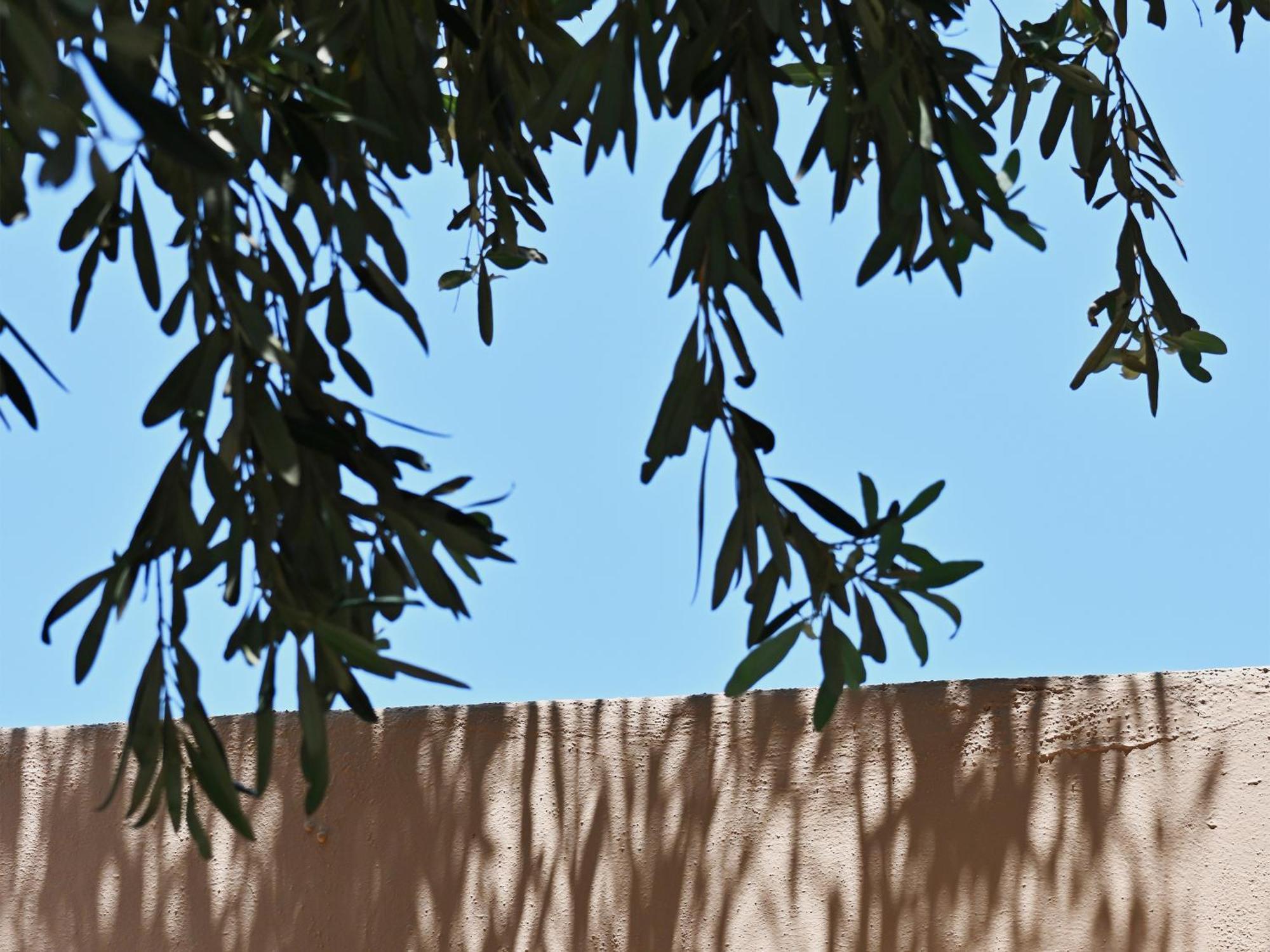 Cape Sounio, A Grecotel Resort To Live Sounion Ngoại thất bức ảnh